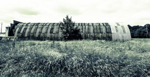 Long hangar courbe plongé dans la nature. Long curverd warehouse lost in the nature.