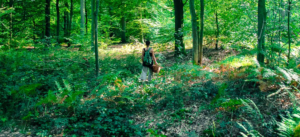 _19H-forêt-parc-jardin-bruno-pradez-decor-film-photo-cinema-location-bruxelles